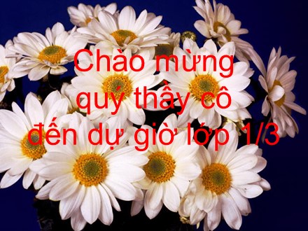 Bài giảng Học vần Lớp 1 - Bài 24: q, qu, gi