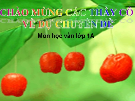 Bài giảng Học vần Lớp 1 - Bài 38: eo,ao