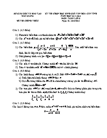 Đề thi chọn học sinh giỏi văn hóa cấp tỉnh môn Toán Lớp 8 - Năm học 2012-2013 - Sở GD&ĐT Bắc Giang (Có đáp án)