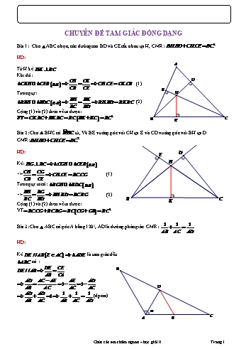 Chuyên đề bồi dưỡng học sinh giỏi Toán Lớp 8 - Chuyên đề 12.2: Tam giác đồng dạng
