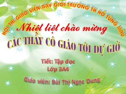 Bài giảng Tập đọc Khối 3 - Tiếng ru - Bùi Thị Ngọc Dung