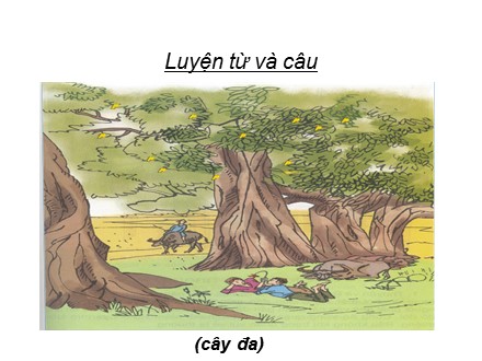 Bài giảng Luyện từ và câu Lớp 3 - Mở rộng vốn từ Quê hương. Ôn tập mẫu câu Ai, làm gì? - Trường Tiểu học Cổ Nhuế B