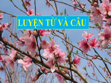 Bài giảng Luyện từ và câu Lớp 5 - Liên kết các câu trong bài bằng cách lặp từ ngữ - Trường Tiểu học Đức Thắng