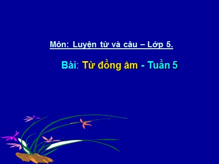 Bài giảng Luyện từ và câu Lớp 5 - Từ đồng âm - Trường Tiểu học Cổ Nhuế B