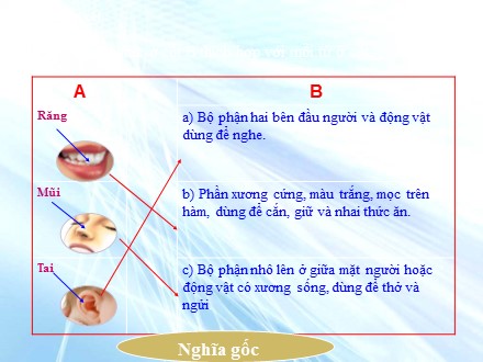 Bài giảng Luyện từ và câu Lớp 5 - Từ nhiều nghĩa - Trường Tiểu học Cổ Nhuế B