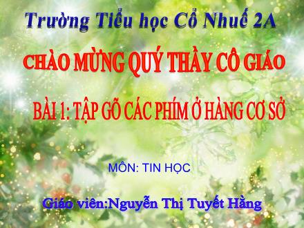 Bài giảng Tin học Lớp 2 - Bài 1: Tập gõ các phím ở hàng cơ sở - Nguyễn Thị Tuyết Hằng
