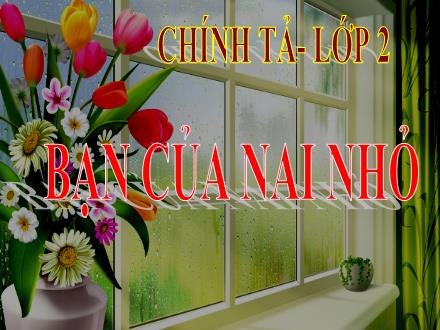 Bài giảng Chính tả Lớp 2 - Tuần 3: Bạn của Nai nhỏ - Trường TH Hạ Đình