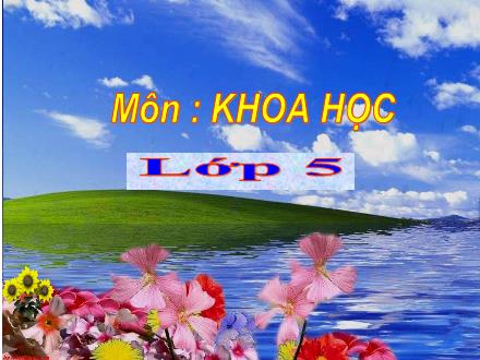 Bài giảng Khoa học Khối 5 - Năng lượng mặt trời - Trường Tiểu học Xuân Đỉnh