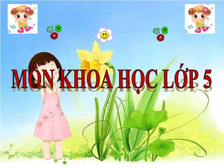 Bài giảng Khoa học Lớp 5 - Bài 16: Phòng tránh HIV/AIDS - Trường Tiểu học Khương Đình