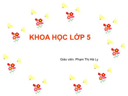 Bài giảng Khoa học Lớp 5 - Bài 6: Từ lúc mới sinh đến tuổi dậy thì - Phạm Thị Hà Ly