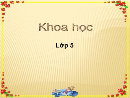 Bài giảng Khoa học Lớp 5 - Xi-măng - Trường Tiểu học Khương Đình