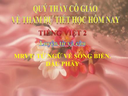 Bài giảng Luyện từ và câu Lớp 2 - Mở rộng vốn từ Từ ngữ về sông biển. Dấu phẩy - Trường Tiểu học Khương Đình