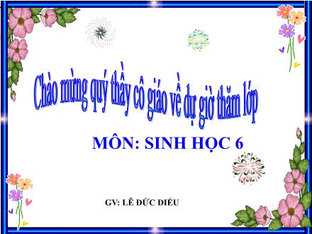 Bài giảng Sinh học Lớp 6 - Tiết 27: Phần lớn nước vào cây đi đâu? - Lê Đức Điểu