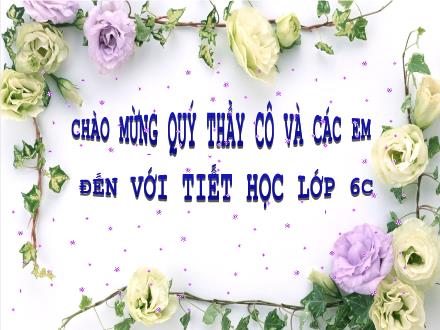 Bài giảng Số học Lớp 6 - Tiết 40: Làm quen với số nguyên âm - Trường THCS Liên Mạc