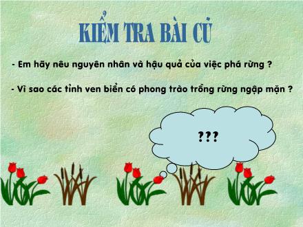 Bài giảng Tập đọc Khối 5 - Chuỗi ngọc lam - Trường Tiểu học Khương Đình