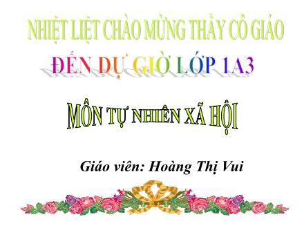 Bài giảng Tự nhiên và Xã hội Lớp 1 - Ăn uống hàng ngày - Hoàng Thị Vui