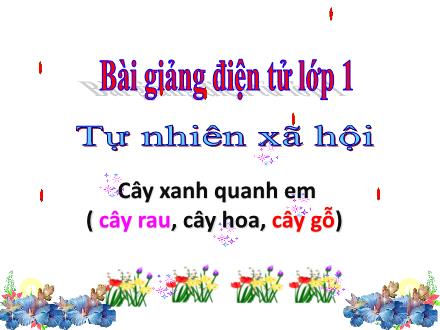 Bài giảng Tự nhiên và Xã hội Lớp 1 - Cây xanh quanh em (Cây rau, cây hoa, cây gỗ) - Trường TH Thanh Xuân Trung