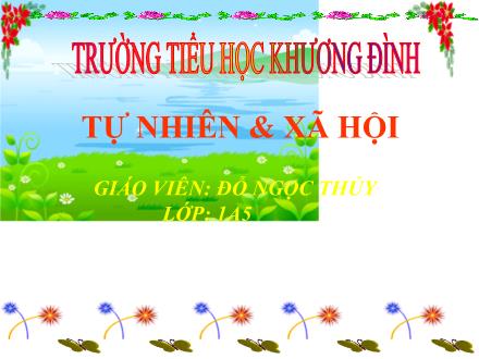 Bài giảng Tự nhiên và Xã hội Lớp 1 - Con mèo - Đỗ Ngọc Thủy