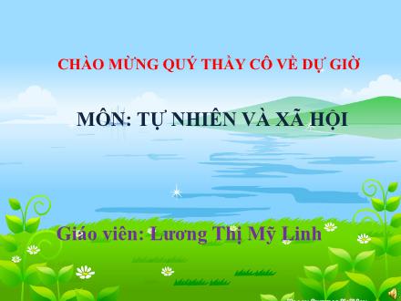 Bài giảng Tự nhiên và Xã hội Lớp 2 - Bài 13: Giữ sạch môi trường xung quanh nhà ở - Lương Thị Mỹ Linh