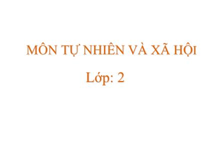 Bài giảng Tự nhiên và Xã hội Lớp 2 - Bài 19: Đường giao thông - Trường Tiểu học Khương Đình