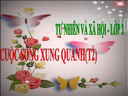 Bài giảng Tự nhiên và Xã hội Lớp 2 - Bài 22: Cuộc sống xung quanh (Tiếp theo) - Trường Tiểu học Khương Đình