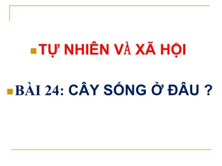 Bài giảng Tự nhiên và Xã hội Lớp 2 - Bài 24: Cây sống ở đâu? - Trường Tiểu học Khương Đình