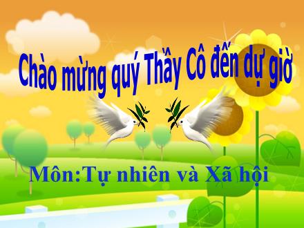 Bài giảng Tự nhiên và Xã hội Lớp 2 - Bài 27: Loài vật sống ở đâu? - Trường Tiểu học Khương Đình