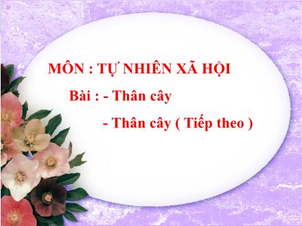 Bài giảng Tự nhiên và Xã hội Lớp 3 - Thân cây - Trường TH Thanh Xuân Trung