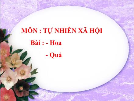 Bài giảng Tự nhiên và Xã hội Lớp 3 - Tuần 26: Hoa và quả - Trường TH Thanh Xuân Trung