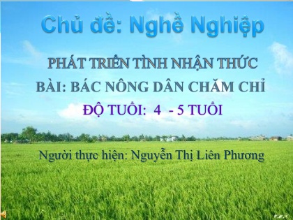 Bài giảng Mầm non Lớp Chồi - Chủ đề: Nghề nghiệp - Bài: Bác nông dân chăm chỉ - Nguyễn Thị Liên Phương