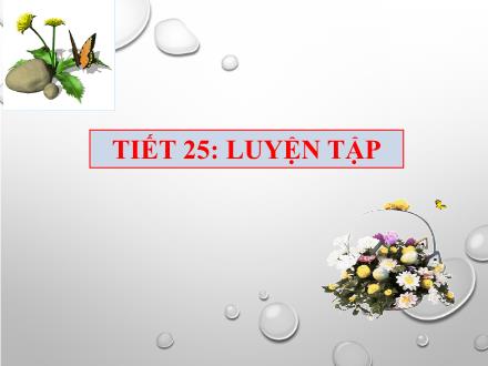 Bài giảng Đại số Lớp 7 - Tiết 25: Luyện tập