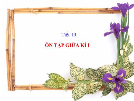 Bài giảng Đại số Lớp 8 - Tiết 19: Ôn tập giữa kì I
