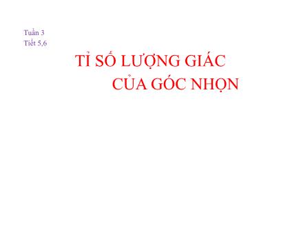 Bài giảng Hình học Lớp 9 - Tuần 3, Tiết 5+6: Tỉ số lượng giác của góc nhọn