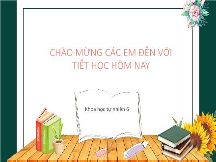 Bài giảng Khoa học tự nhiên Lớp 6 - Chương: Mở đầu - Tiết 1, Bài 1: Giới thiệu về khoa học tự nhiên