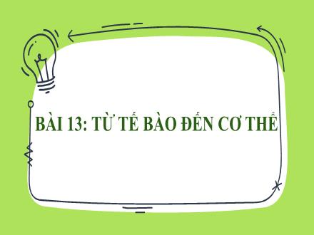 Bài giảng Khoa học tự nhiên Lớp 6 - Phân môn Sinh học - Bài 13: Từ tế bào đến cơ thể