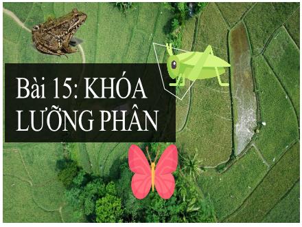 Bài giảng Khoa học tự nhiên Lớp 6 - Phân môn Sinh học - Bài 15: Khóa lưỡng phân