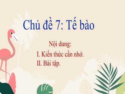 Bài giảng Khoa học tự nhiên Lớp 6 - Phân môn Sinh học - Chủ đề 7: Tế bào