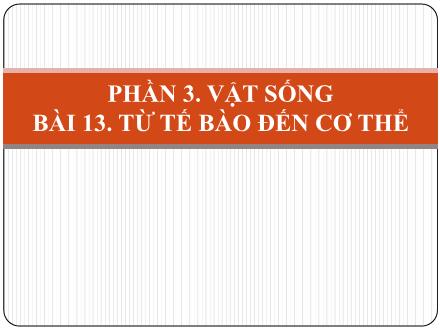 Bài giảng Khoa học tự nhiên Lớp 6 - Phân môn Sinh học - Phần 3: Vật sống - Tuần 4, Tiết 8, Bài 13: Từ tế bào đến cơ thể