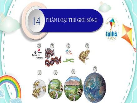 Bài giảng Khoa học tự nhiên Lớp 6 (Sách Cánh diều) - Phân môn Sinh học - Bài 14: Phân loại thế giới sống