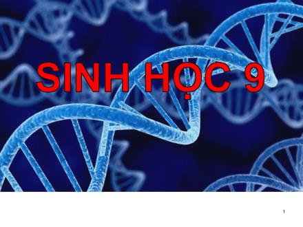 Bài giảng Sinh học 9 - Tiết 1: Men đen và di truyền học