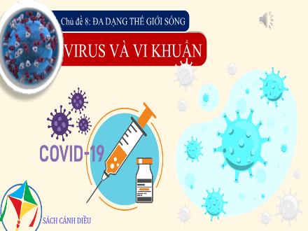 Bài giảng Sinh học Lớp 6 (Sách Cánh diều) - Tiết 17+18, Chủ đề 8: Đa dạng thế giới sống virus và vi khuẩn