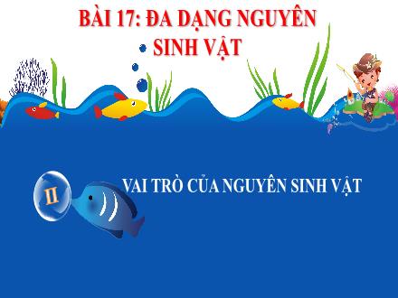 Bài giảng Sinh học Lớp 6 - Tuần 11, Tiết 21, Bài 17: Đa dạng nguyên sinh vật