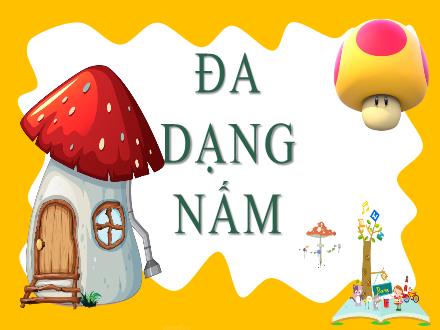 Bài giảng Sinh học Lớp 6 - Tuần 11, Tiết 22, Bài 18: Đa dạng nấm