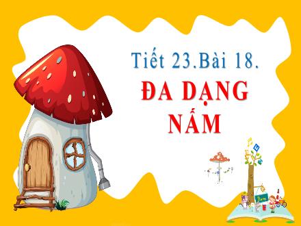 Bài giảng Sinh học Lớp 6 - Tuần 12, Tiết 23, Bài 18: Đa dạng nấm