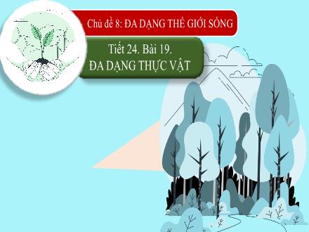Bài giảng Sinh học Lớp 6 - Tuần 12, Tiết 24, Bài 19: Đa dạng thực vật
