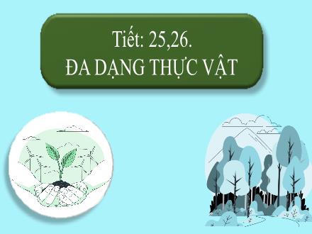 Bài giảng Sinh học Lớp 6 - Tuần 13, Tiết 25, 26: Đa dạng thực vật