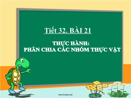 Bài giảng Sinh học Lớp 6 -Tuần 16, Tiết 32, Bài 21: Thực hành: Phân chia các nhóm thực vật