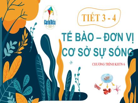 Bài giảng Sinh học Lớp 6 - Tuần 2, Tiết 3+4: Tế bào–đơn vị cơ sở sự sống