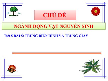 Bài giảng Sinh học Lớp 7 - Chủ đề: Ngành động vật nguyên sinh - Tiết 5, Bài 5: Trùng biến hình và trùng giày