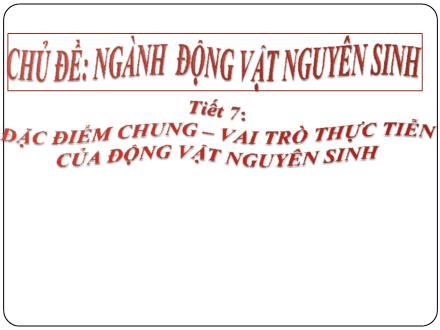 Bài giảng Sinh học Lớp 7 - Chủ đề: Ngành động vật nguyên sinh - Tiết 7: Đặc điểm chung–vai trò thực tiễn của động vật nguyên sinh